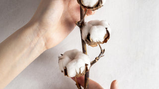 Qu'est ce qu'un tissu OEKO-TEX® ?