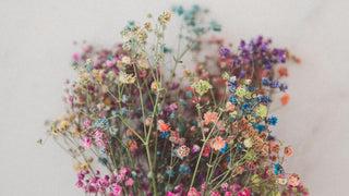 Notre sélection pour le printemps